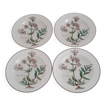 Set of 4 Villeroy and Boch soup plates - Botanica collection