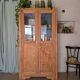 Old glass-fronted wooden library – blue interior