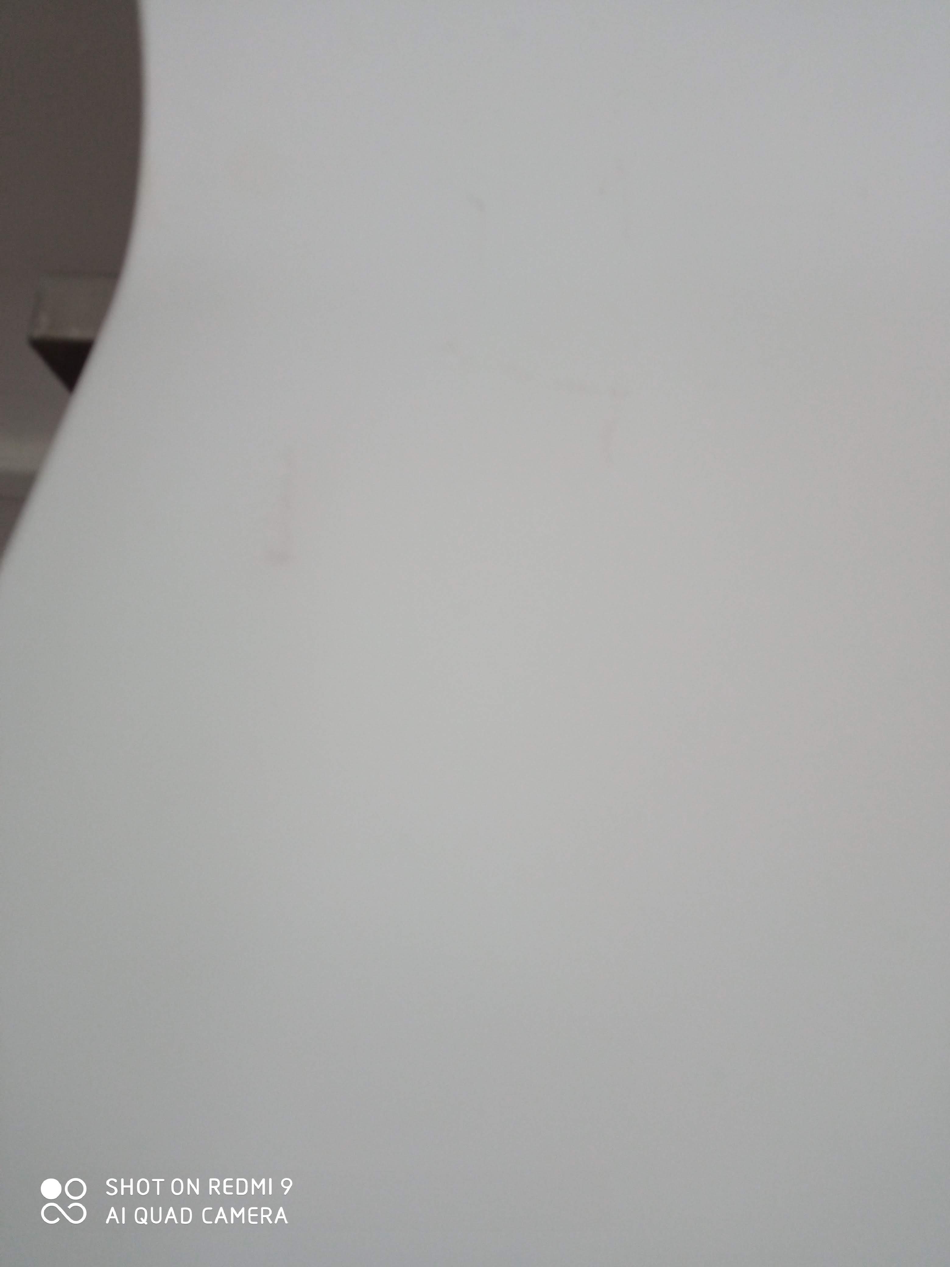 Italian Chairs Pedrali