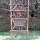 Coats rack bamboo of the early twentieth.