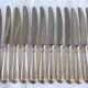 12 sfam dessert knives silver metal 21 cm