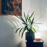 Doria Leutchen lamp