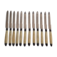 Box 12 horn knives