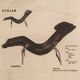 Chaise longue modèle 36 dit "Pernilla" par Bruno Mathsson