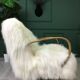 White fluffy sheepskin bentwood armchair halabala