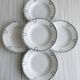 5 iron earthenware soup plates