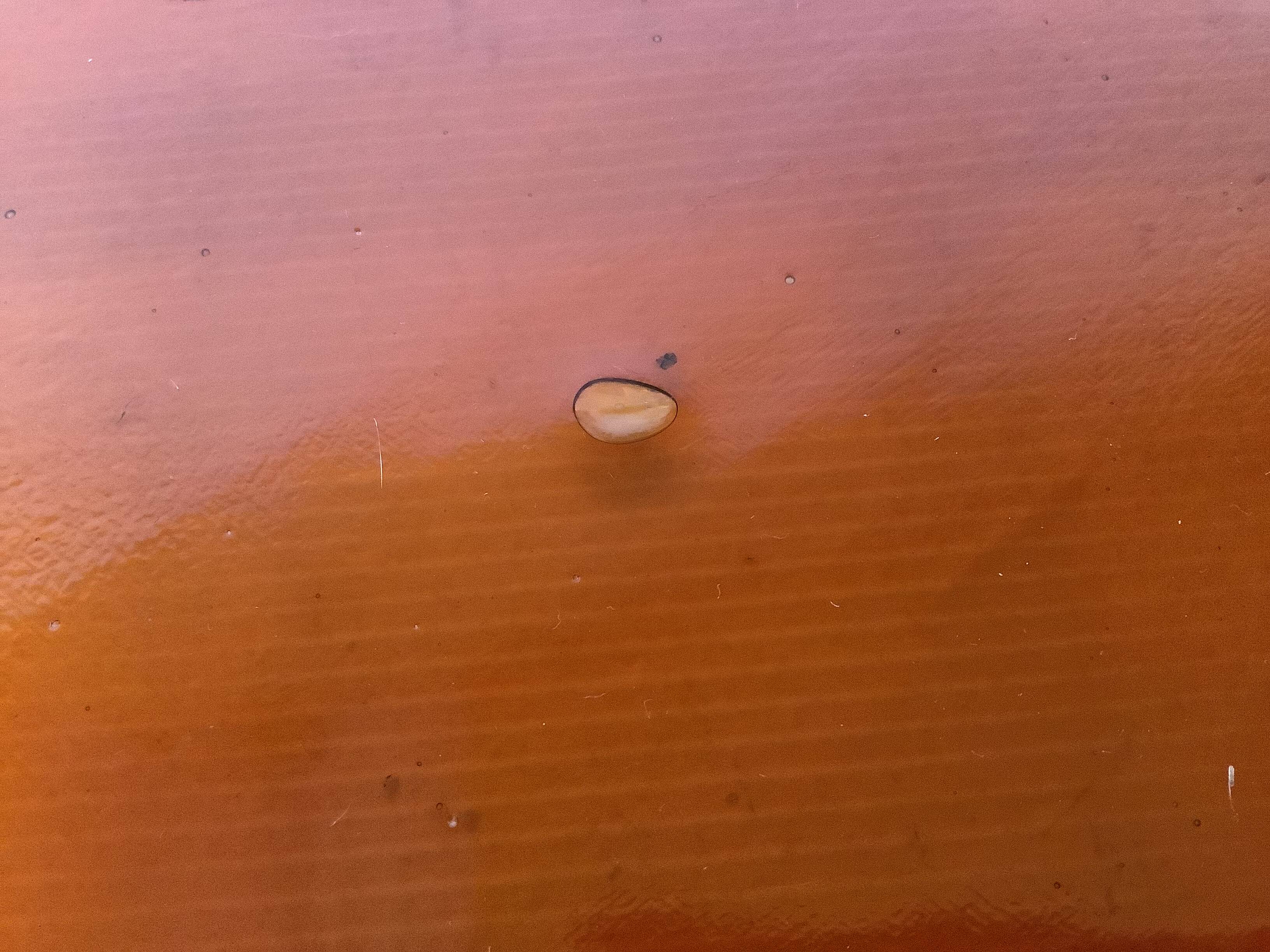 Artisanal glass cutting board