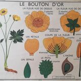 Old Rossignol school poster