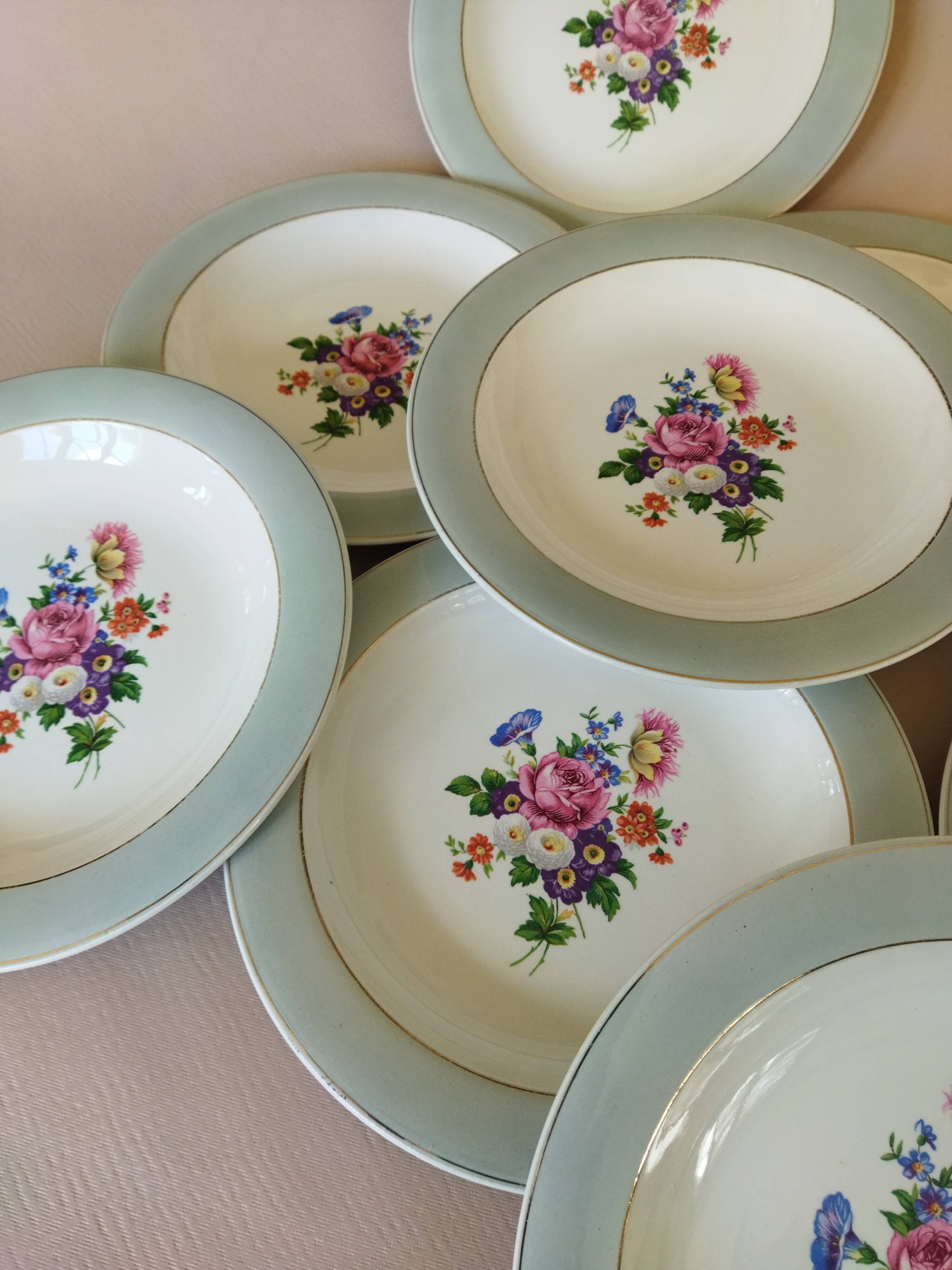 8 semi-deep plates Salins Opaceline 702