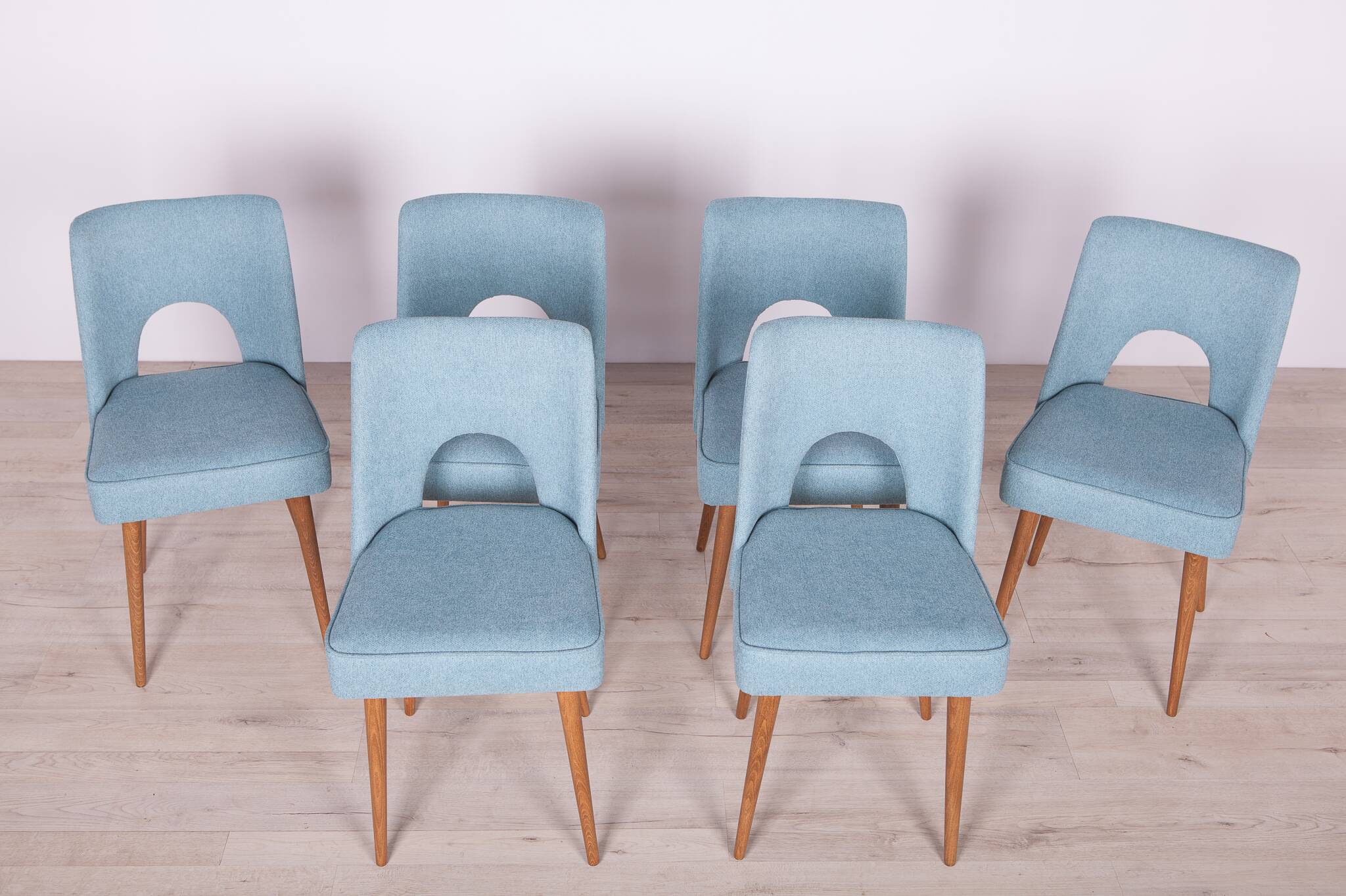 Polish Shell Chairs from Bydgoszcz Furniture Factory, 1960s, Set of 6