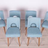 Polish Shell Chairs from Bydgoszcz Furniture Factory, 1960s, Set of 6