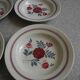 6 Céranord St Amand vintage soup plates 50s