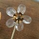 Pair of sconces in metal and glass