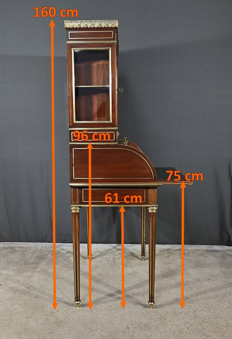 Rare Small Cylinder Desk and Showcase, Louis XVI style – Mid-19th century