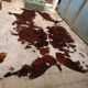 Rug, Large cowhide with fairly long hair - Vintage 70's Tannerie Barjols