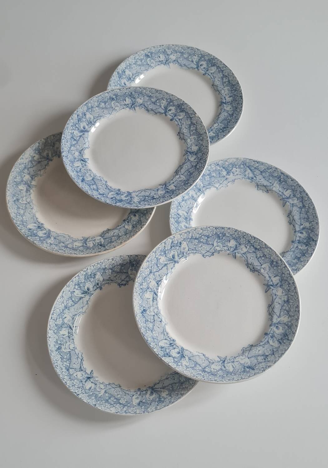 Set of 6 iron earthenware plates