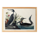 Poster about the Catmarin Diver, based on an old engraving from 1827.