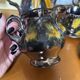 Vintage coffee service Vallauris – 6 people