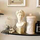Bust of David after G. Bessi