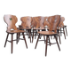 Lot 14 chaises bistrot brasserie chalet déco de montagne