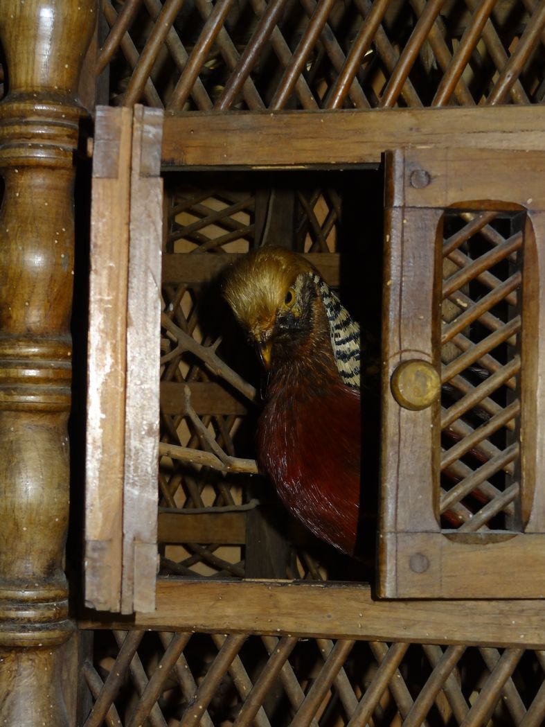 Large wooden bird cage, nineteenth century mastery work, 101 x 120 cm