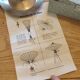 Lamp by Kasa lamp stand vintage