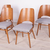 Model lollipop dining chairs from Tatra, 1960