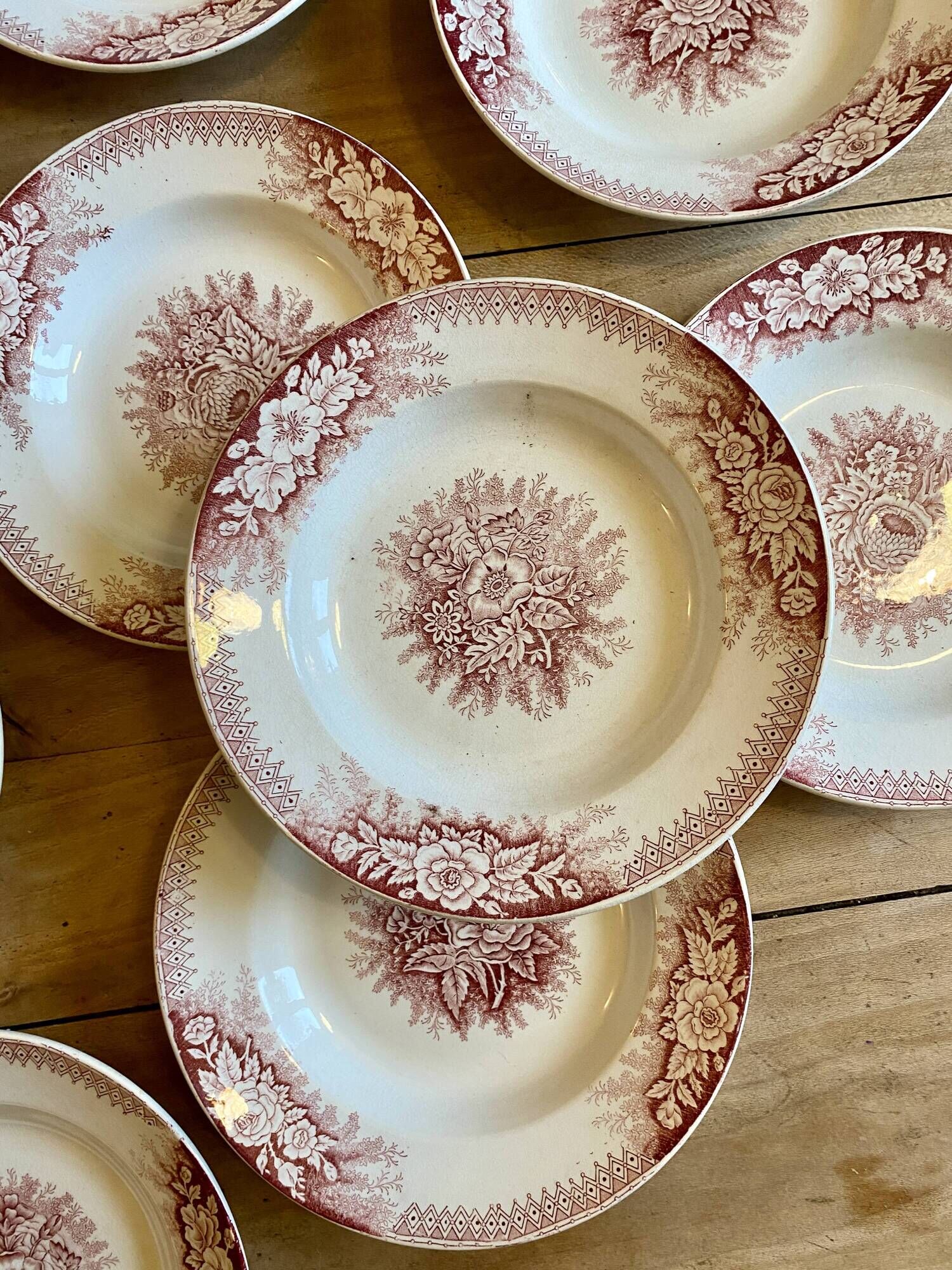 Set of 9 old ironstone hollow plates - Jardinière de Saint Amand