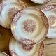 Set of 9 old ironstone hollow plates - Jardinière de Saint Amand