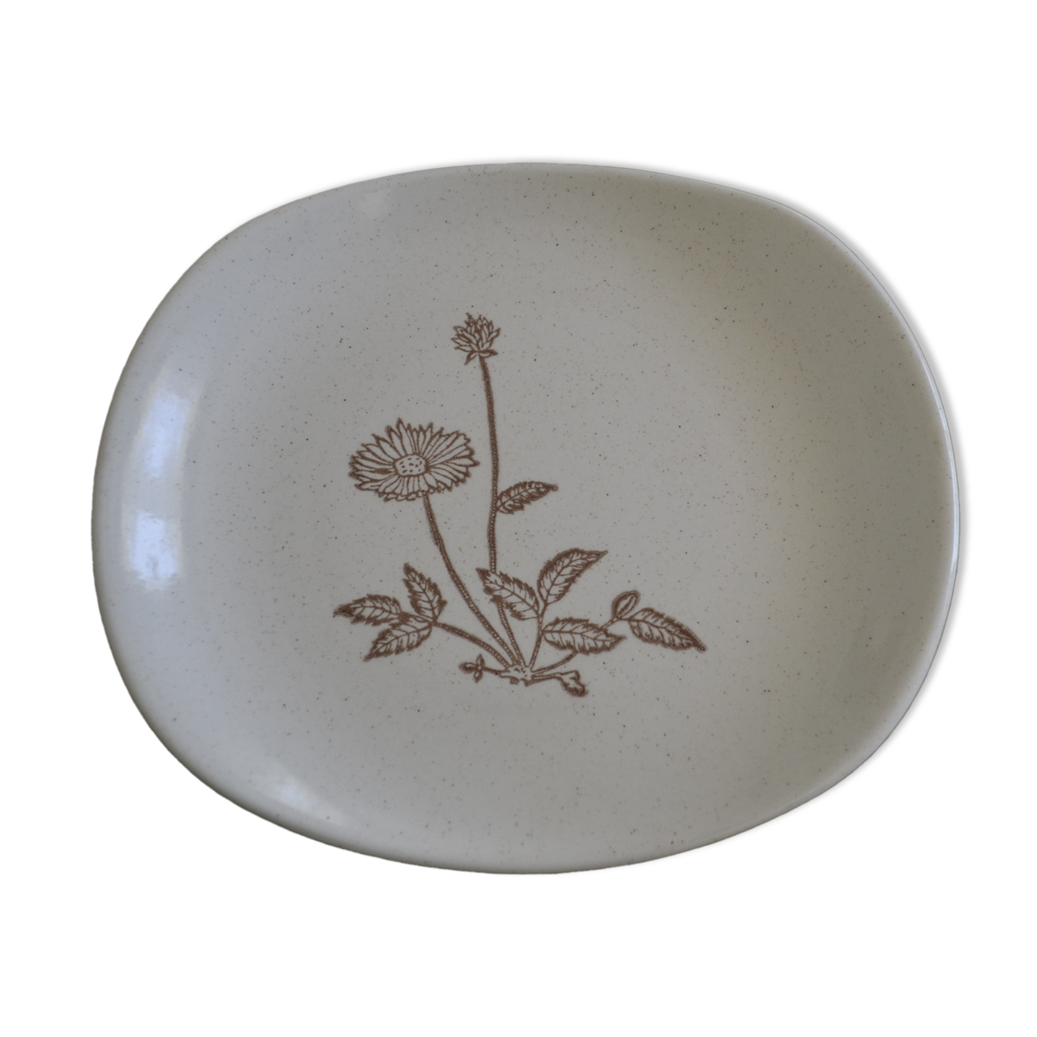 sandstone flat with flower