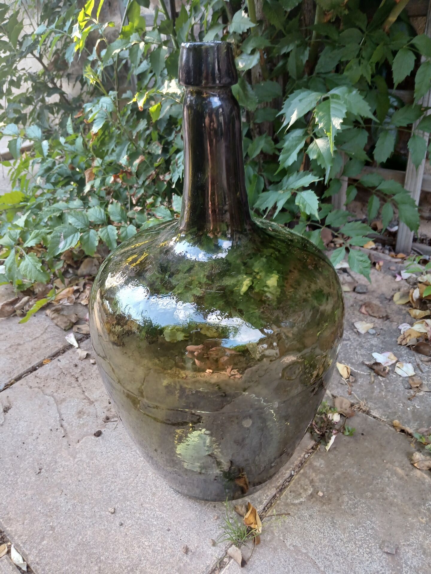 Old demijohn/ Dame Jeanne