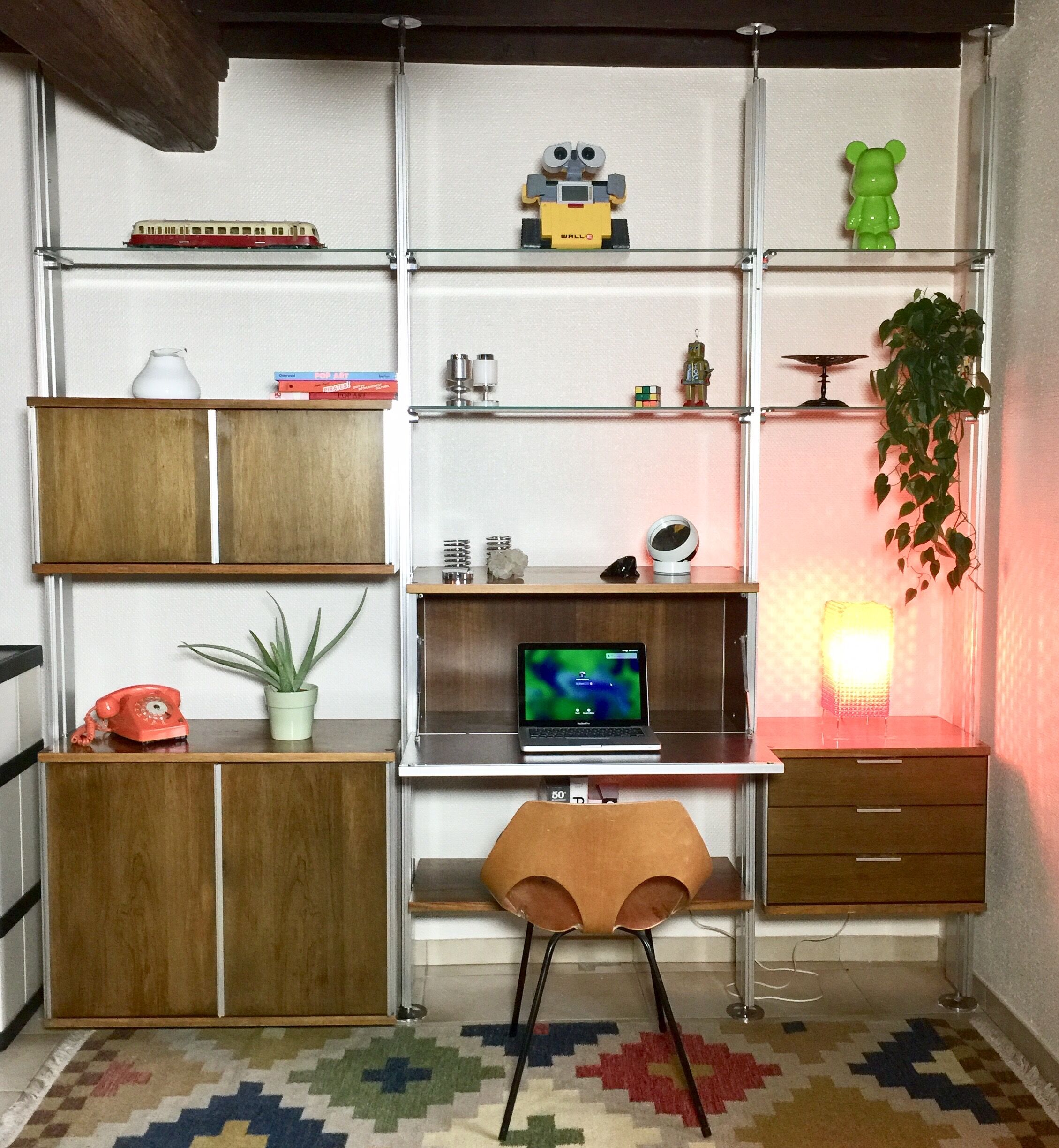 EFA design bookcase Georges Frydman 1970