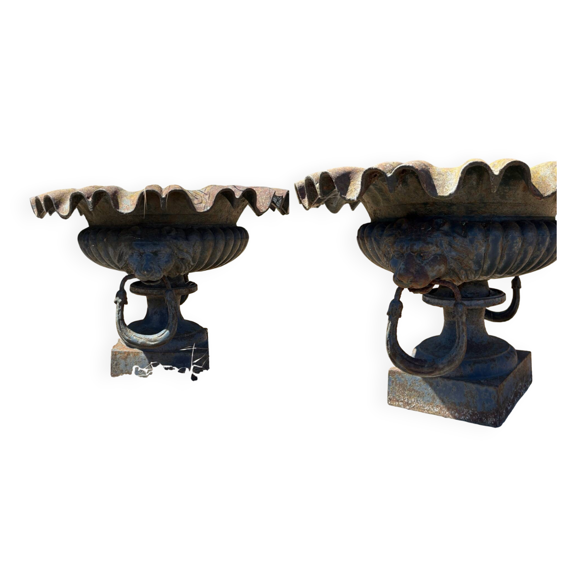Pair of Médicis vases in cast iron