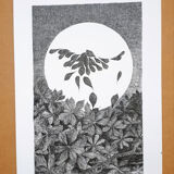 " l'envol " Indian ink on paper