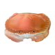 Terrine crab ceramic cake by Michel Caugant