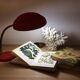 Lampe de bureau flexible rouge années 50 vintage