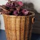 Vintage trash basket