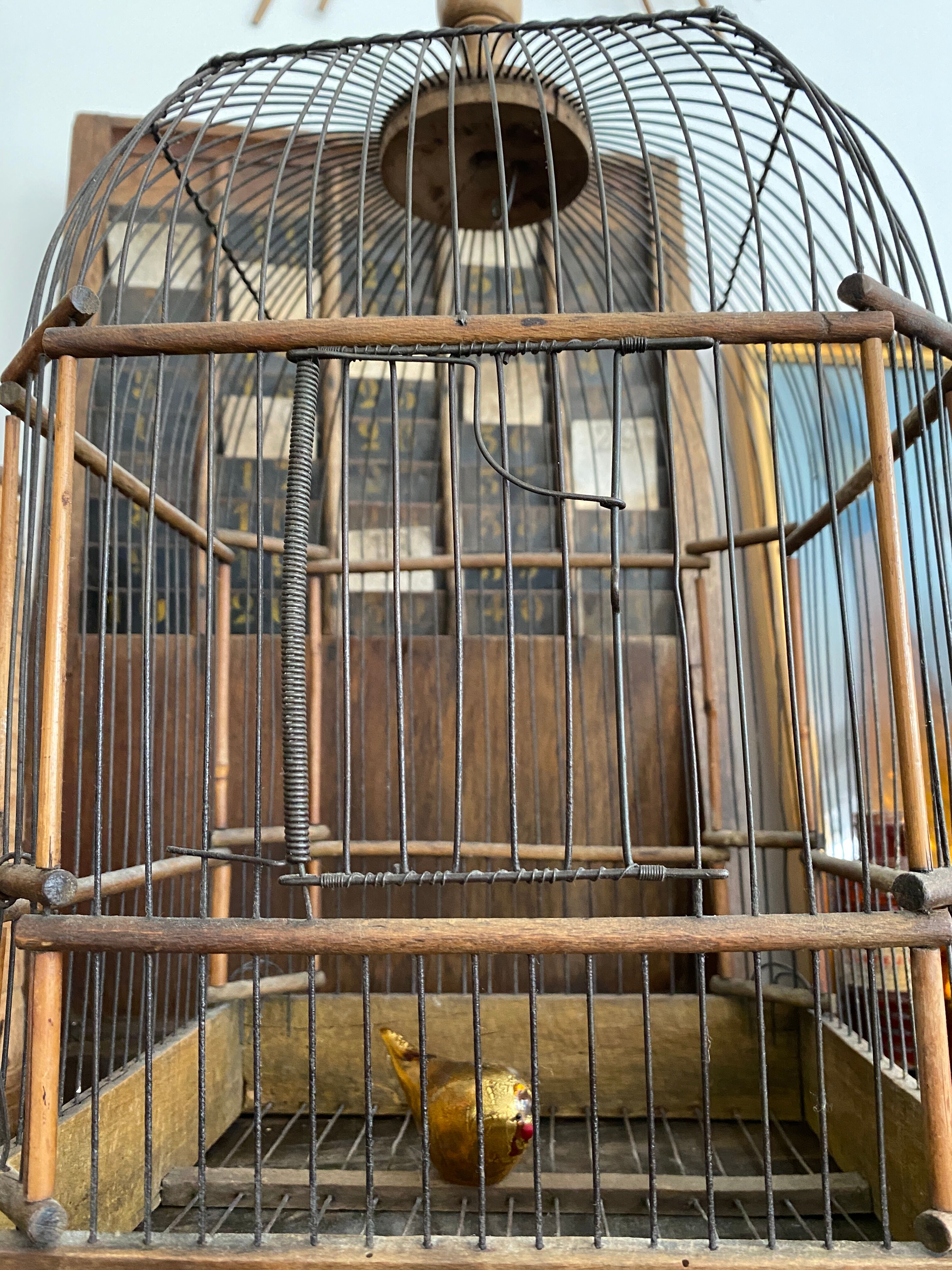 Old bird cage