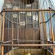 Old bird cage
