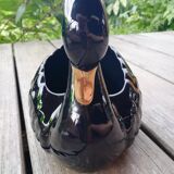 Black swan pot cache