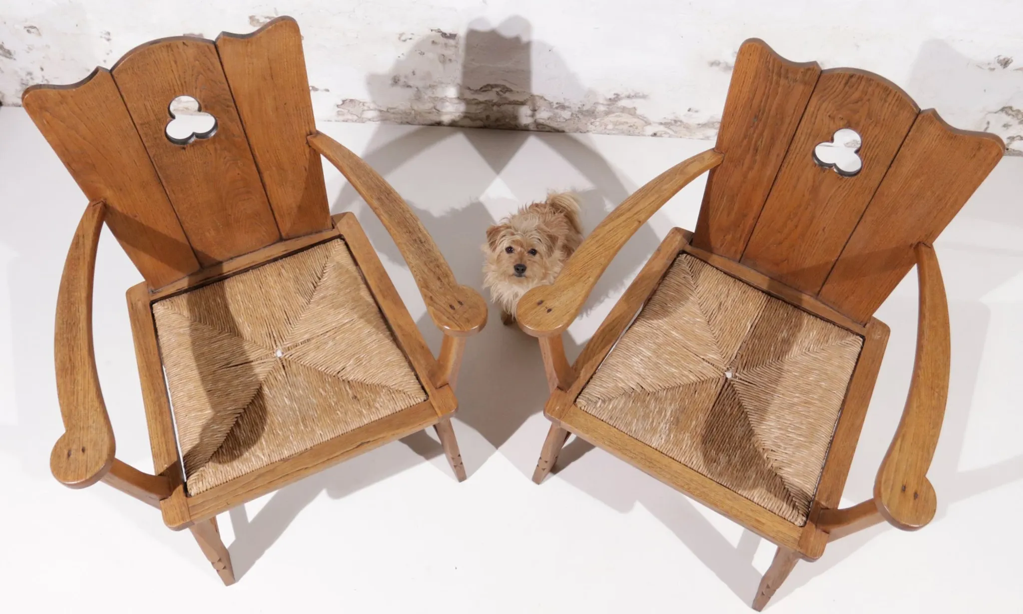 Pair of brutalist oak throne chairs with rush seats – Netherlands, 1930s