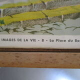 framework 12 school posters 50/60