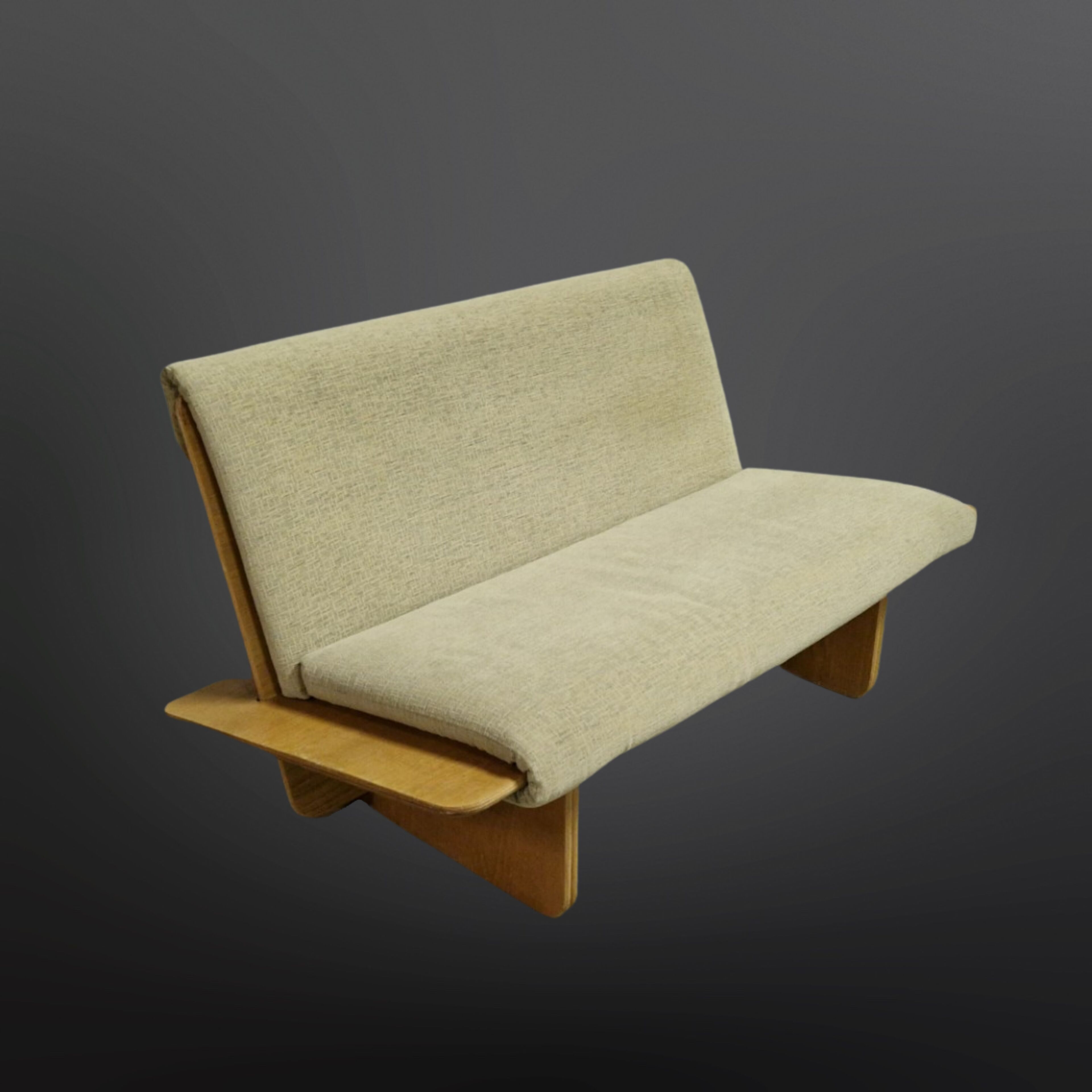 Modernist 2 seater sofa by Castelijn, Netherlands 1970s