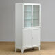 Vitrine médicale de fer de Kovona, années 1950