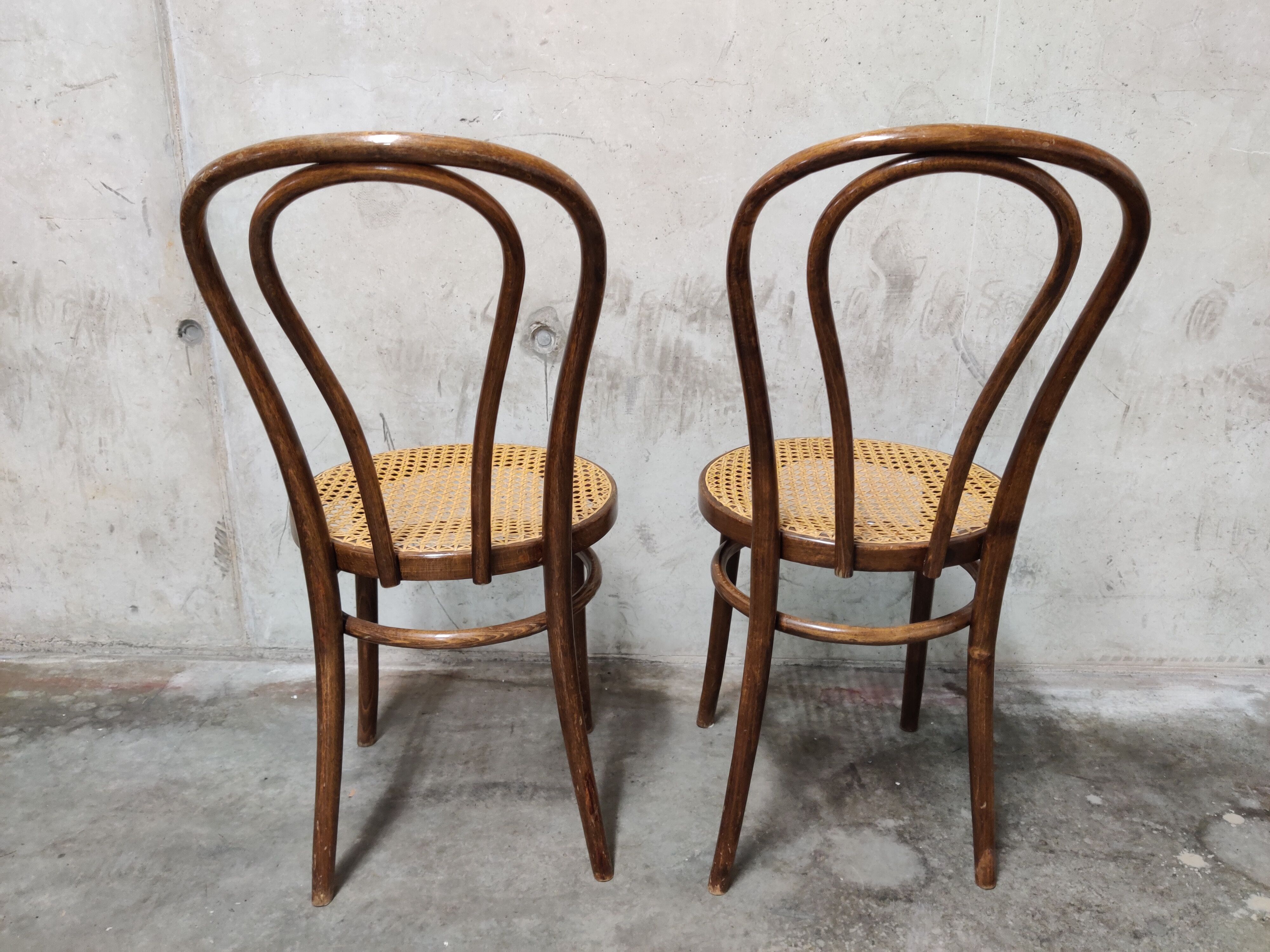 Dining chairs by zpm radomsko, 1950s