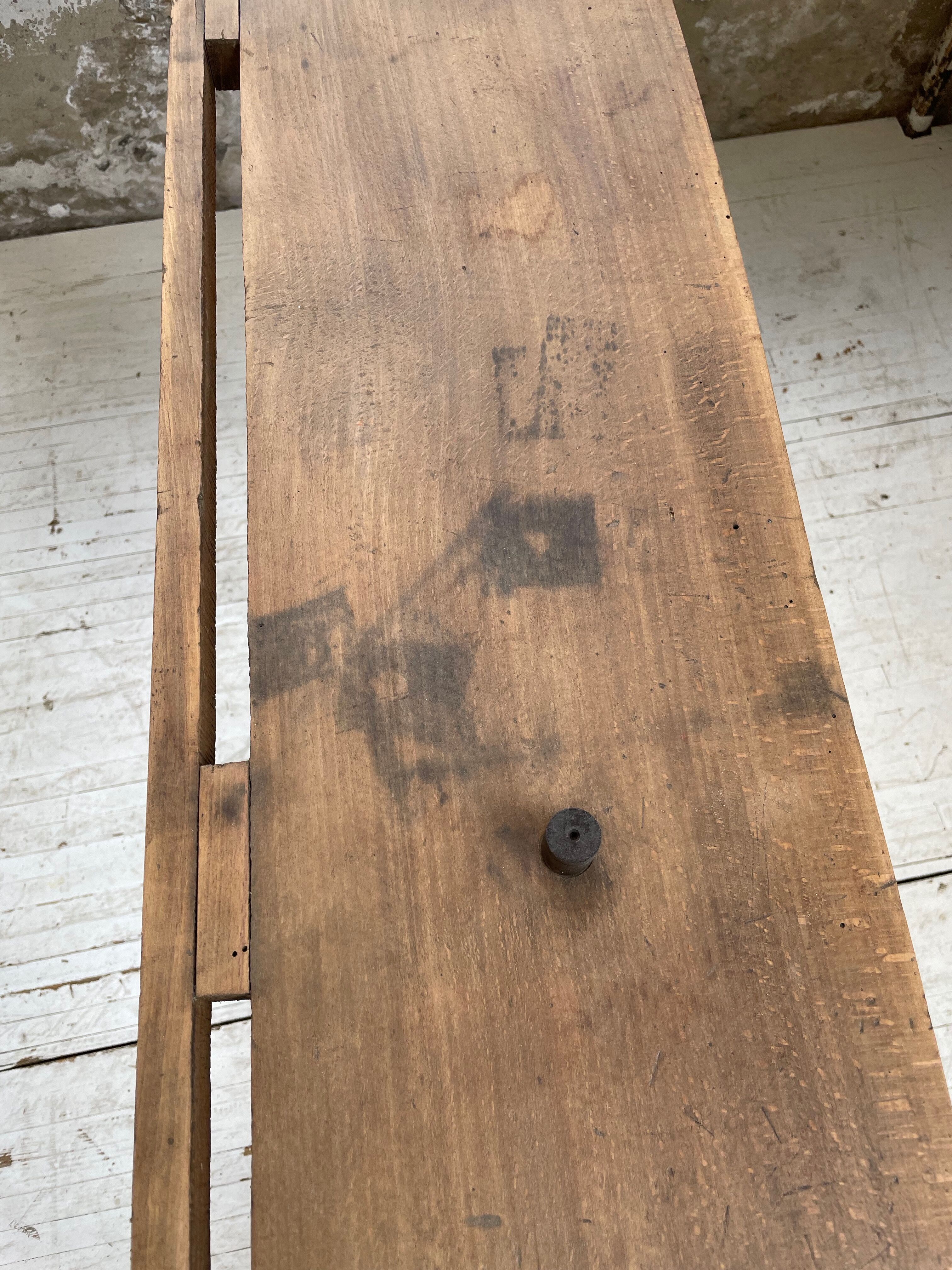 Established XS in cherry tree