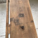 Established XS in cherry tree