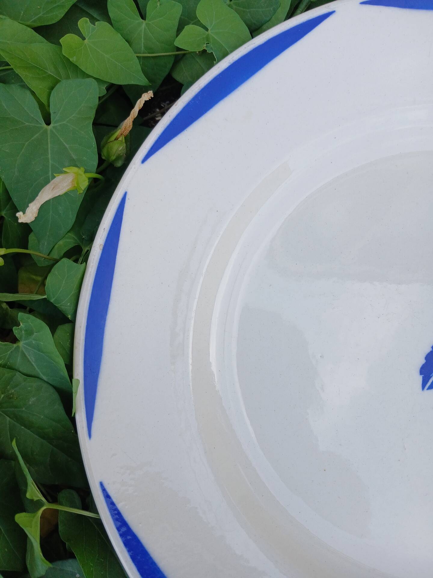 Large round antique Badonviller plate