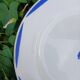 Large round antique Badonviller plate