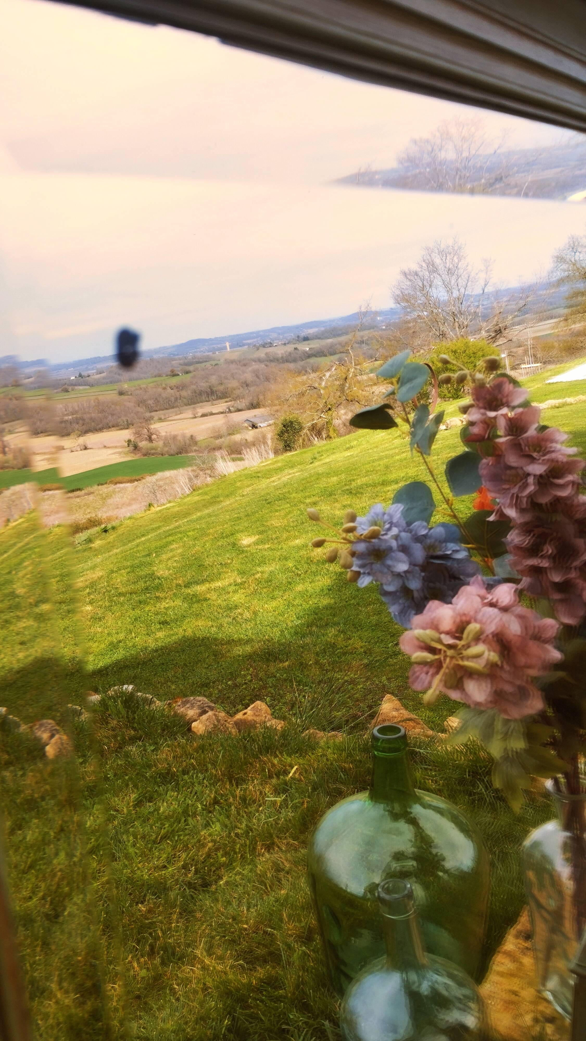 Antique olive green mirror